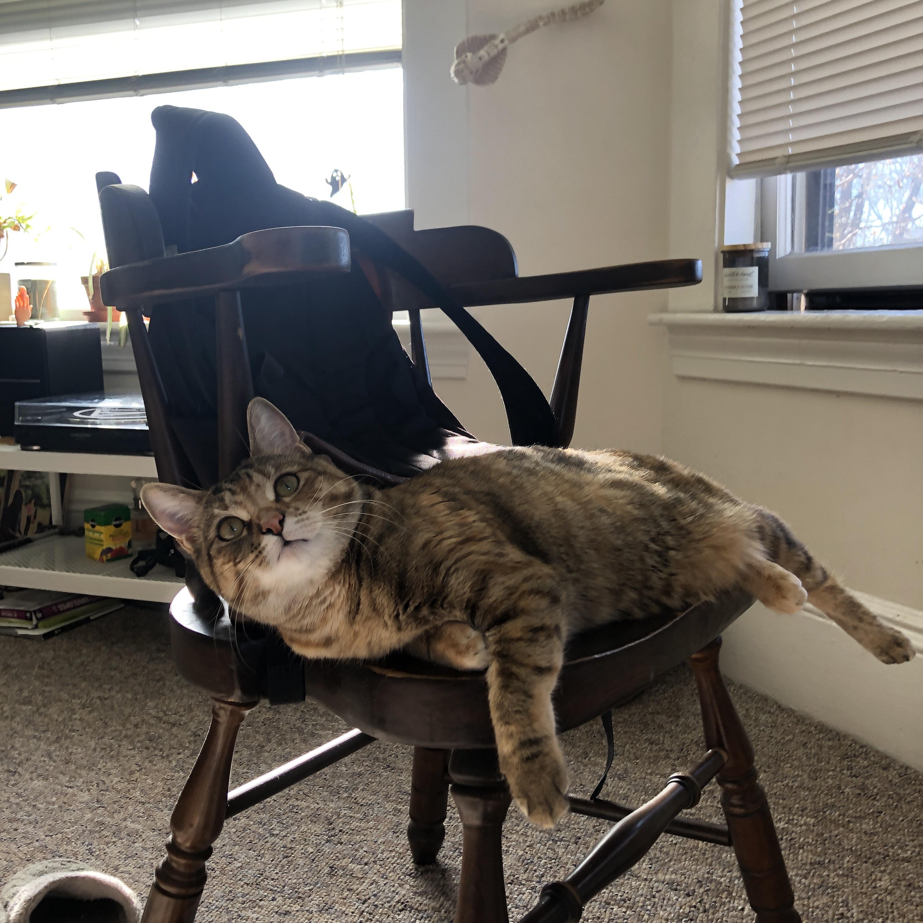 德国男子73公斤级举重选手在决赛中获得第七名，2008年举重德国男子视频