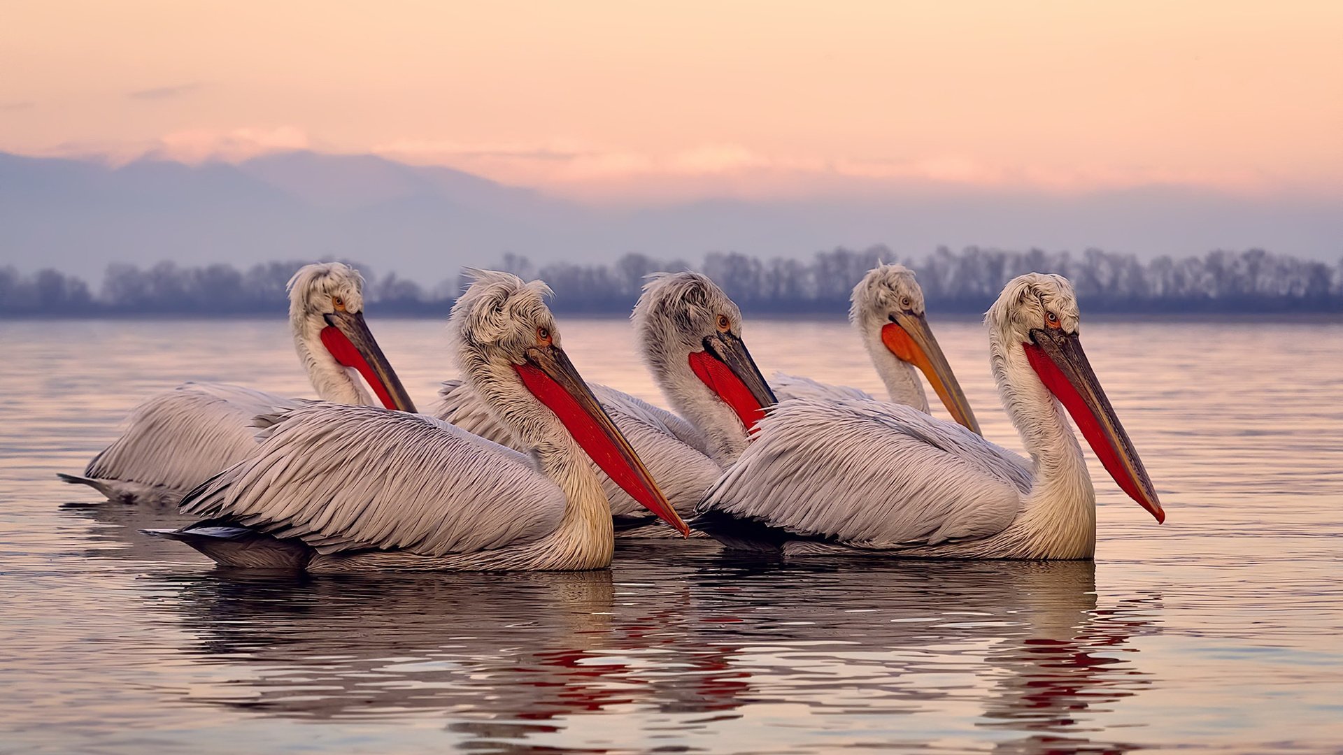 【战术大PK】奥沙利文精通的多变攻防战术解析,奥沙利文的防守