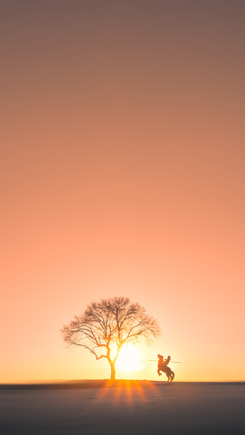 全国自行车节能骑游，绿色环保新潮流，骑自行车节能减排